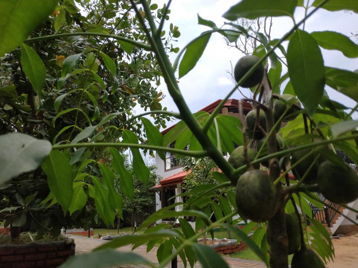 Sigiriya Cashew Palace Resort Daganapothaha Eksteriør billede