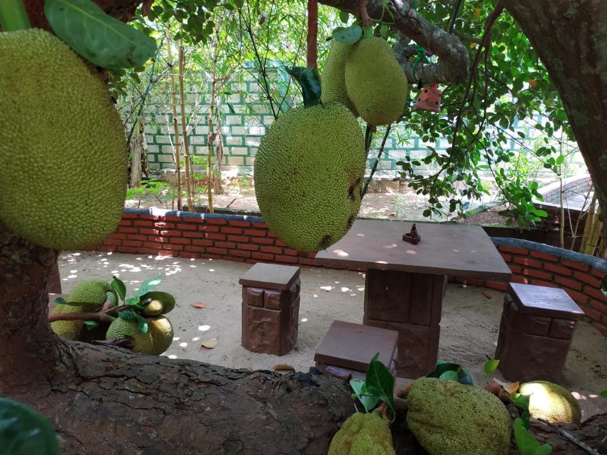Sigiriya Cashew Palace Resort Daganapothaha Eksteriør billede