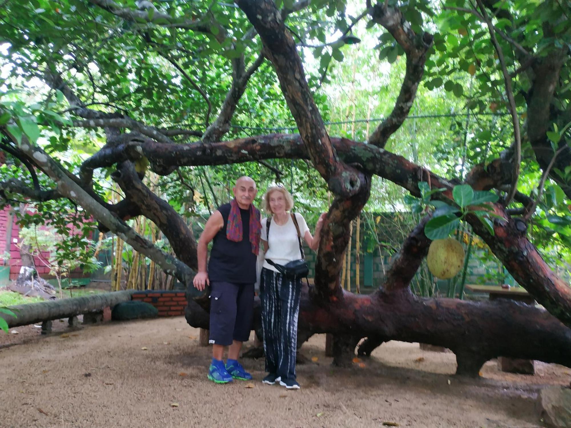 Sigiriya Cashew Palace Resort Daganapothaha Eksteriør billede